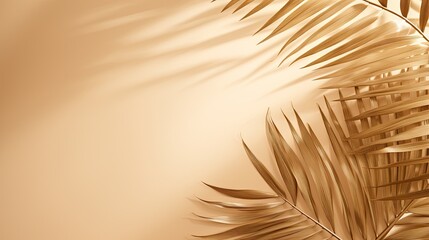 Beige background with shadow and palm leaves