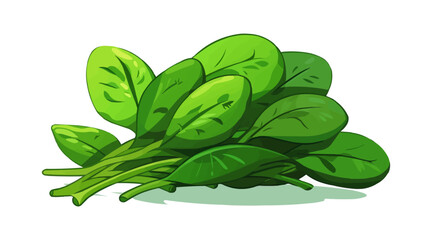 Wall Mural - Spinach vector flat minimalistic isolated vector style illustration