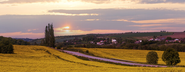 Wall Mural - spring rapeseed yellow blooming fields
