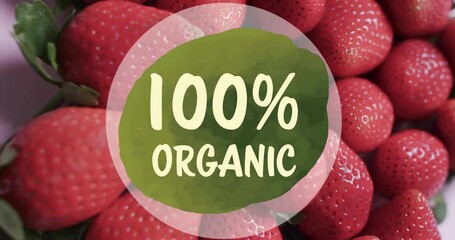 Wall Mural - Animation of 100 percent organic text on circle over strawberries background