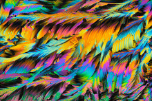 Vivid Abstract Feather Patterns Bursting With Color