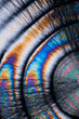 © ADDICTIVE STOCK - Vibrant abstract microcrystal patterns with rainbow hues