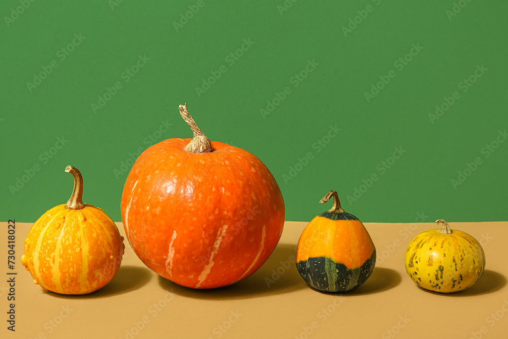 Different fresh pumpkins on colorful background