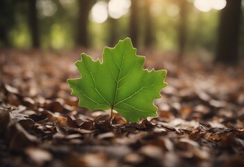 Wall Mural - Green Oak Leaf Fallen on the Muddy Ground in Forest Close Up