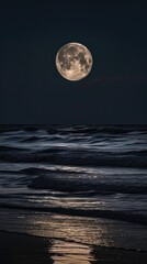 Wall Mural - A full moon rising over the ocean on a dark night.