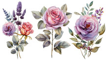 Watercolor Bouquet Of Roses And Lavender Flowers Isolated Transparent Background. PNG Format.