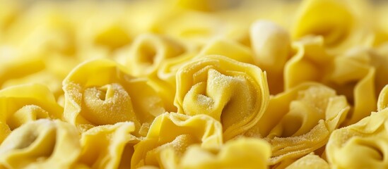 Poster - Traditional Italian tortellini is a type of pasta.