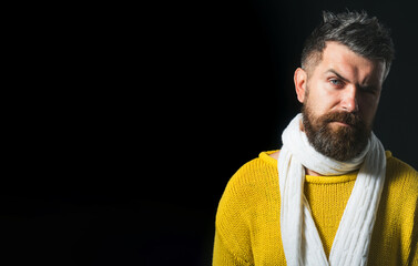 Wall Mural - Men fashion. Attractive bearded man in yellow sweater and white scarf. Serious handsome man with beard and mustache in winter knitwear. Fashion male model in winter outfit. Copy space for advertising.