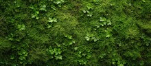 Top view green moss nature texture background. AI generated image
