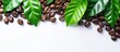 Fresh brown roasted coffee beans and leaves copy space isolated on white background. AI generated