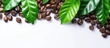 Fresh Brown Roasted Coffee Beans And Leaves Copy Space Isolated On White Background. AI Generated