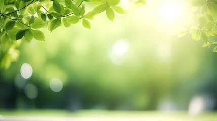spring background, green natural rustic background