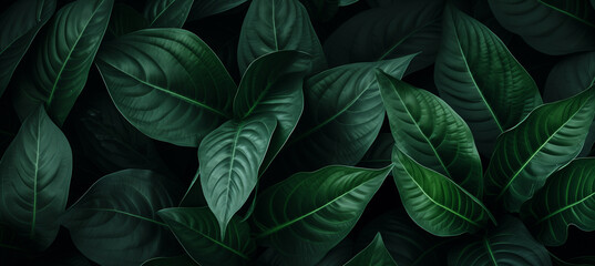  Tropicial tree leaves  with many drops, showcasing nature's freshness and growth, generative AI