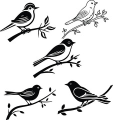 birds on branch silhouette vector illustration