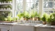 Sustainable Farm-to-Table Kitchen with In-House Herb Garden