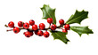 Holly Berries, Spring of holly isolated on transparent background, Generative ai.