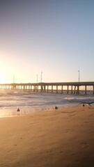 Canvas Print - sunset on the beach vertical video 4k