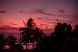 Bright sky at sunset on the background of the ocean Tall palm tree against the background of the evening pink red sky