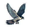 peregrine falcon hand drawn vector illustration graphic