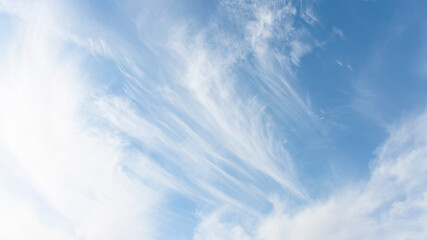 Poster - Blue sky and white clouds background - Pillowy clouds cover a blue sky in the background
