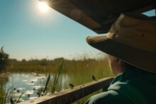 Birdwatcher With A Sun Hat Observing Wetland Birds From A Hide