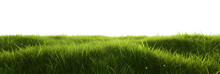 Green Grass Meadow Outdoor 3d-illustration