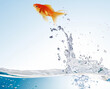 goldfish leaping