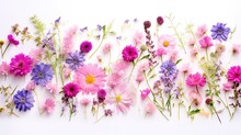 Cornflower, Field Scabious, Wild Carthusian Pink, Malva, Pink Bellflowers On A White Background With Space For Text. Top View, Flat Lay , Generative Ai, 