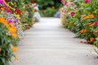 concrete path centerframe, blurry colorful flowers on both sides