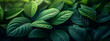 © i mun - Green leaves in lush green colors background. Concept of ecology and healthy environment.