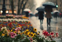 Pedestrians With Umbrellas Walking By City Flower Beds In Light Spring Rain