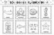 Sea animals flashcards black and white collection for kids. Flash cards set with cute water characters for coloring in outline. Whale, octopus, jellyfish and more. Vector illustration