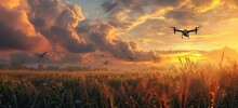 Drone Hovers Above Sprawling Cornfield At Sunset Capturing Synergy Of Modern Technology And Agriculture Aerial View Showcases Advanced Farming Techniques Remote Controlled