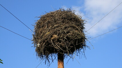 Big stork nest close-up on sky background, bottom view