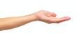 © AkuAku - A hand with gesture reaching towards something, showcasing the fingers, thumb, nails, and wrist, on a white background.
