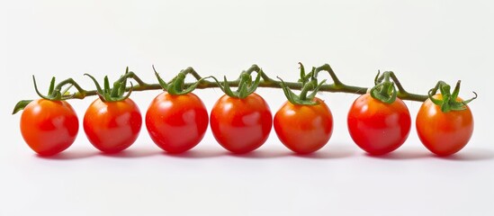 Wall Mural - A rectangle of vibrant cherry tomatoes, a superfood, growing on a vine against a white background. These natural foods are organically produced, locally sourced, and are a staple in healthy diets.