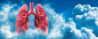 Detailed illustration of human lungs, emphasizing the importance of respiratory health and medical science in diagnosing diseases