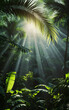 Raios solares brilhando na selva