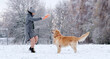 © Ievgen Skrypko - Girl Throwing Ring Toy To Adorable Golden Retriever Dog On A Snow Field In Winter
