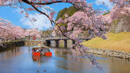 Sticker - Hikone Castle Yakatabune Cruise at Hikone castle in Shiga, Japan