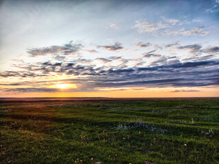 Wall Mural - Sunset with the sun and a dramatic cloud over steppe with green grass. Beautiful nature landscape