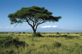 Fototapeta Sawanna - Mount Kilimanjaro. Savanna in Amboseli, Kenya