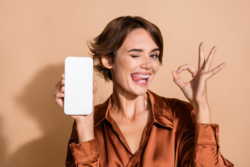 photo of shiny flirty girl wear brown blouse winking showing okey modern gadget empty space isolated