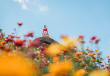 Beautiful Asian Woman Standing On The Rock Among The Straw Flower Blooming In The Field At Phu Hin Rong Kla National Park, Thailand
