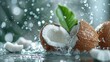 Young coconut with water splash and leaf