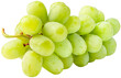 © amazing studio - Fresh green grape isolated on white background.