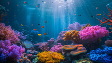 Beautiful Coral Reef Under The Sea
