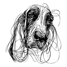 Messy Line Drawing Of A Basset Hound Dog's Face
