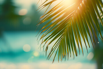 Beautiful nature green palm leaf on tropical beach with bokeh sun light