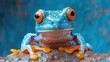 a close up of a frog on a rock with a blue wall behind it and a blue wall behind it.